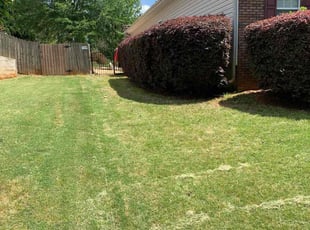 Daniel G.'s Bush Trimming service result