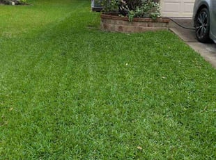 Dashawn E.'s lawn care services service result