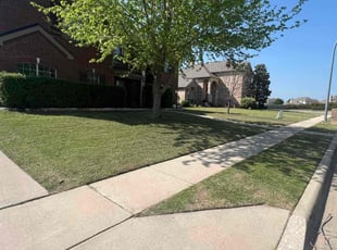 Marsha D.'s grass maintenance service result