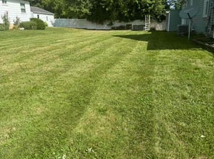 Janis K.'s lawn service service result
