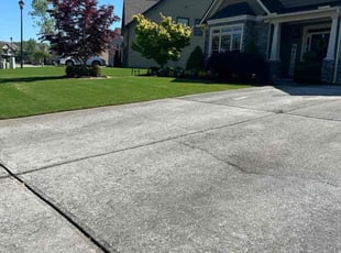 Dan M.'s turf care service result