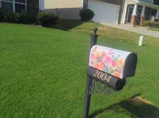 Mark H.'s gardening service service result