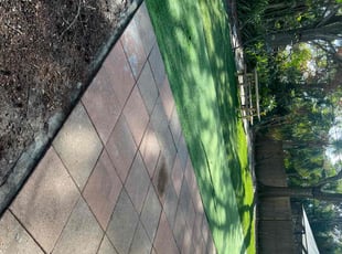 Irvin D.'s lawn service service result