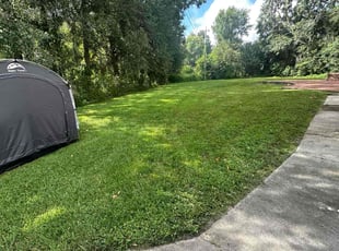 Danny W.'s turf care service result