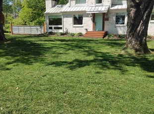 Brandon O.'s grass maintenance service result