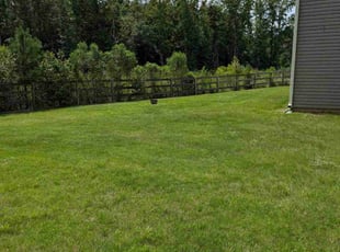 Pat S.'s turf maintenance service result