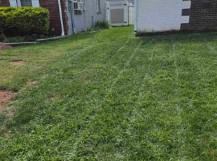 Lawrence R.'s lawn service service result