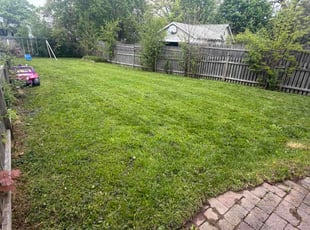 Darren M.'s turf maintenance service result
