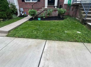Carl B.'s lawn maintenance service result