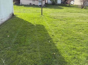 Irvin I.'s lawn care service result