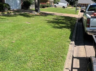 Kaytlin t.'s lawn service service result
