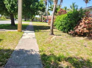 Mary B.'s Bush Trimming service result