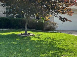 Staci H.'s lawn service service result