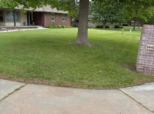 Adaluz B.'s lawn care services service result