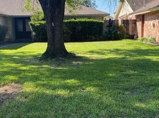 Daniel S.'s grass maintenance service result