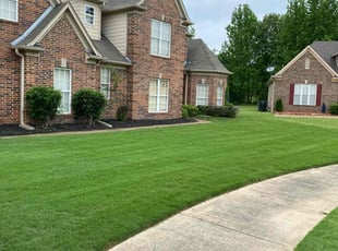 Jan L.'s grass cutting service result