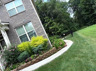Nakisha W.'s turf care service result