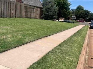 Tim H.'s turf maintenance service result