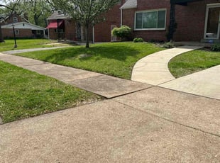 Abigail H.'s grass cutting service result