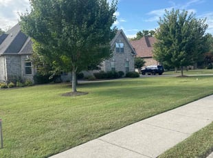 Donna P.'s grass cutting service result