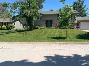 Ali S.'s turf care service result