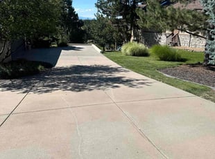 Pam F.'s lawn care services service result