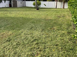 Terri S.'s lawn care service result