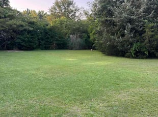 Demario H.'s grass maintenance service result