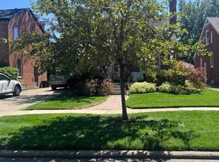 Barbara H.'s grass cutting service result