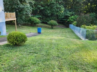 Cindy P.'s grass cutting service result