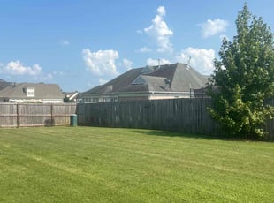 Preitus M.'s lawn maintenance service result