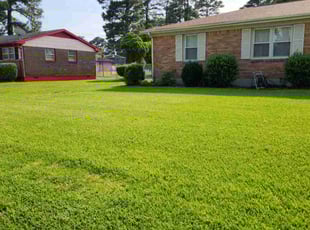 Jessica M.'s grass cutting service result