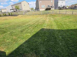 Angie C.'s grass maintenance service result