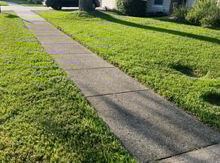 Kalina N.'s lawn care service result