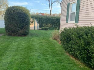 Roberto R.'s lawn service service result