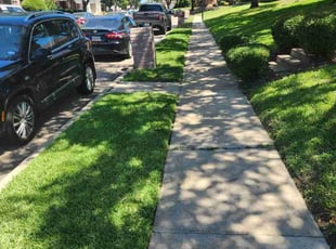 Catla R.'s lawn care service result