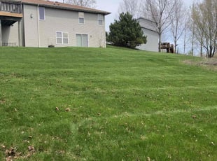 G. V.'s landscaping services service result
