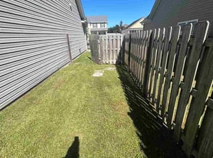 Jeanne G.'s grass maintenance service result