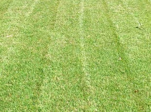 Charles G.'s lawn care service result