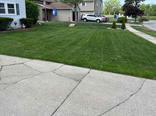Helen F.'s lawn service service result