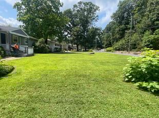 Reginald L.'s gardening service service result