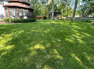 Eva N.'s grass maintenance service result