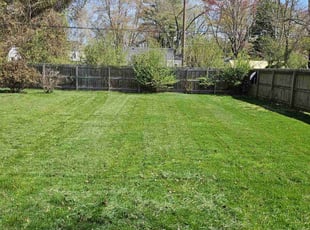 Glenn S.'s lawn service service result