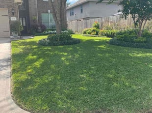 Justin C.'s grass maintenance service result