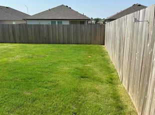 Celina Z.'s grass maintenance service result