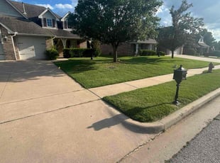 John S.'s turf maintenance service result