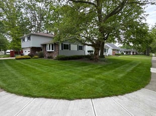Rick M.'s lawn service service result