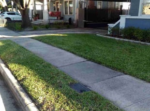 Amanda W.'s lawn care service result