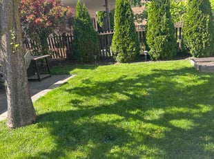 Kelley M.'s turf maintenance service result