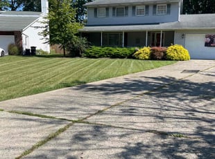 Marilyn S.'s turf maintenance service result